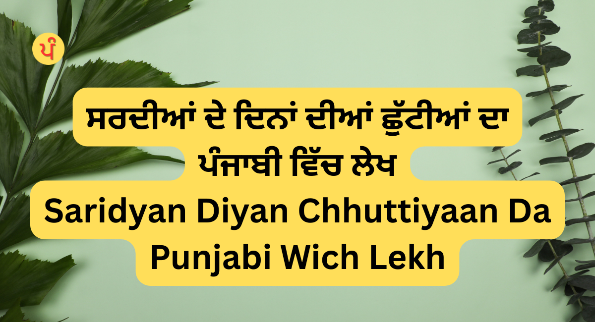 Saridyan Diyan Chhuttiyaan Da Punjabi Wich Lekh