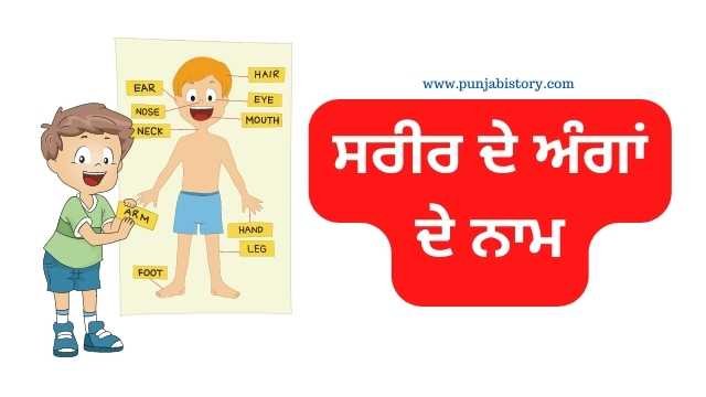 Parts of the body in Punjabi