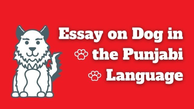 Essay on Dog in the Punjabi