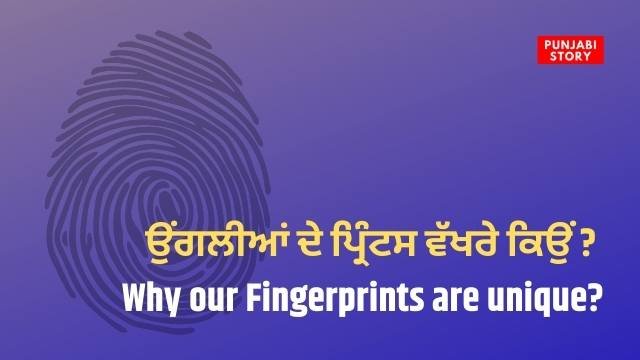 Why our Fingerprints are unique?