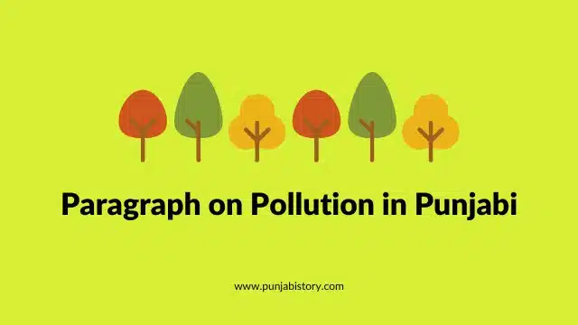 Paragraph on Pollution in Punjabi