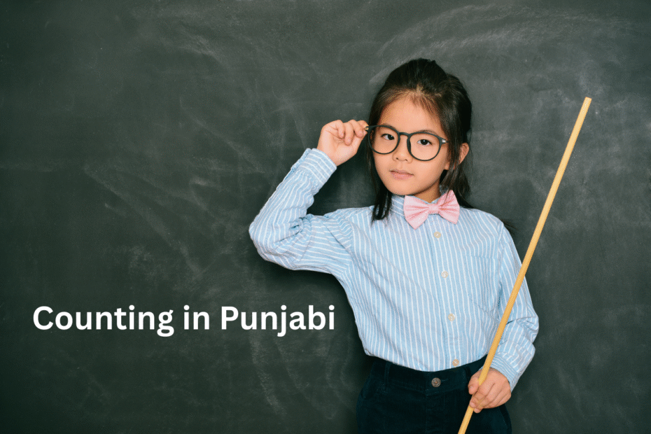 1 to 100 Counting in Punjabi || 1 ਤੋਂ 100 ਦੀ ਗਿਣਤੀ ਪੰਜਾਬੀ ਵਿੱਚ